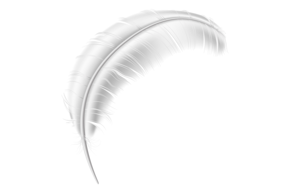 Download White Quill Mockup. Realistic Curved Bir - Curved Collection